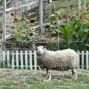 Oak Noggin Bed & Breakfast - Bed & Breakfast Near Me - Pittsburgh, Pennsylvania
