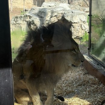 Sac Zoo - Zoos Near Me - Sacramento, California Sac Zoo - Zoos Near Me - Sacramento, California
