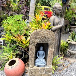 Lush Hawaiian garden Lush Hawaiian garden