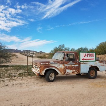 Justice Brothers U-Pick - rusted truck in desert - Farmers Market Near Me - Surprise, Arizona Justice Brothers U-Pick - rusted truck in desert - Farmers Market Near Me - Surprise, Arizona