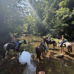 Riding through the creek
