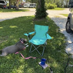 Cooks RV Motor Park - The side of our RV spot