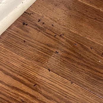 Metroplex Management - Ants - Property Management Near Me - Monmouth Junction, New Jersey Metroplex Management - Ants - Property Management Near Me - Monmouth Junction, New Jersey