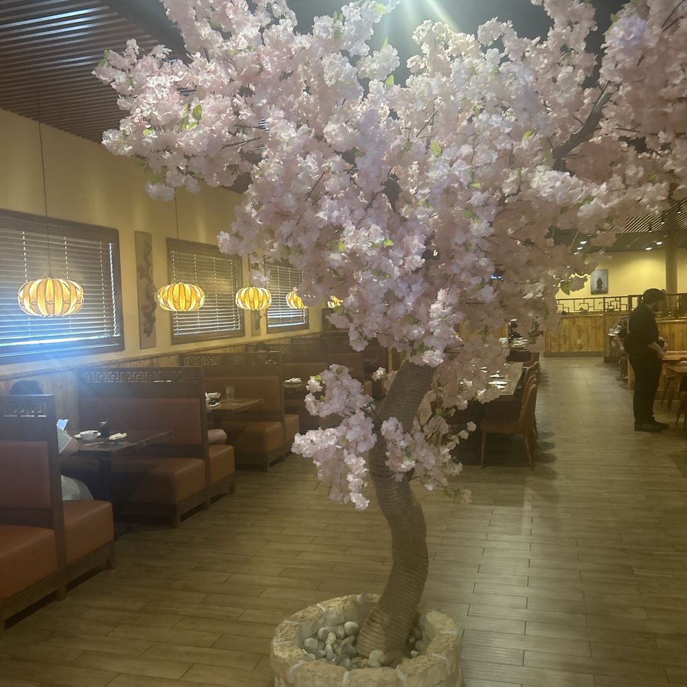 Sushi Masa - Tree in restaurant. - Sushi Bars Near Me - Metairie, Louisiana Sushi Masa - Tree in restaurant. - Sushi Bars Near Me - Metairie, Louisiana