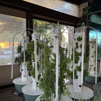 Bavette Grill - Outdoor patio with hydroponic garden - New American Near Me - Plano, Texas