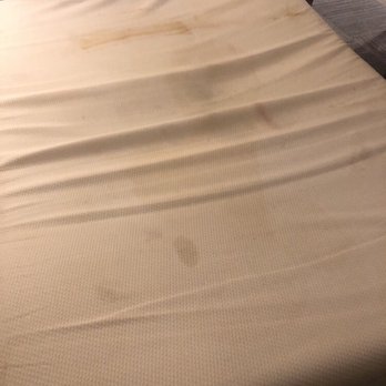 Quality Inn Easton - There is a bunch of piss and shit stains on this roll out mattress. The room smells extremely musty and is difficult to breathe in. - Hotels Near Me - Easton, Maryland Quality Inn Easton - There is a bunch of piss and shit stains on this roll out mattress. The room smells extremely musty and is difficult to breathe in. - Hotels Near Me - Easton, Maryland