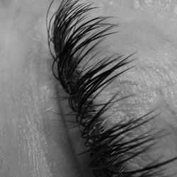 Amazing Lash Studio