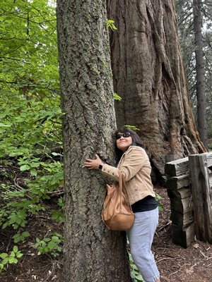 Sequoia National Forest by null
