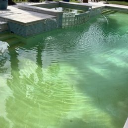 Green pool....