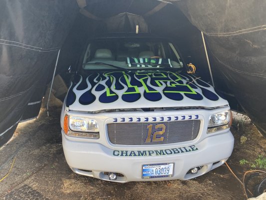 Frisko Freeze by null