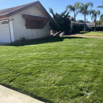 Greenleaf Landscaping - Turf installation - Landscaping Near Me