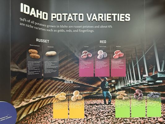 Idaho Potato Museum & Potato Station Cafe by null