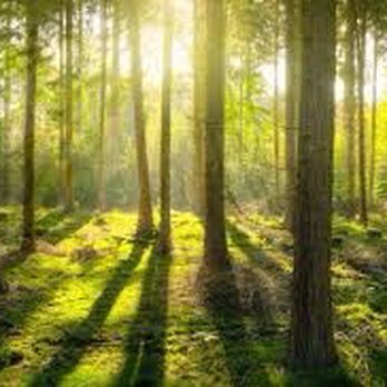 Baldwin Park Spiritual Advisor - Psychic Mediums Near Me - Baldwin Park, California Baldwin Park Spiritual Advisor - Psychic Mediums Near Me - Baldwin Park, California