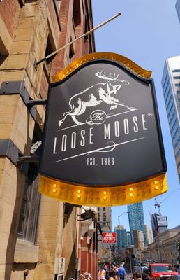 Loose Moose / Antler Room by null