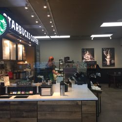 Starbucks - The view from the Basha's entrance