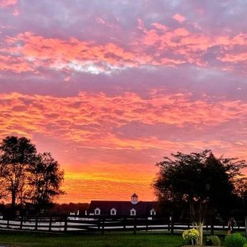 Orchard Manor Show Stables - Horseback Riding Near Me - Leesburg, Virginia Orchard Manor Show Stables - Horseback Riding Near Me - Leesburg, Virginia