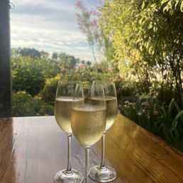 Delicious sparkling blanc de blanc and the view from our table on the patio
