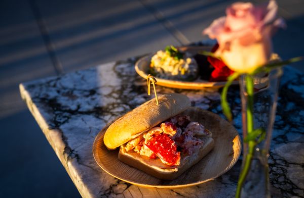 Rose & Thorn by null