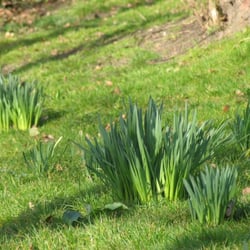 Enbrook Park