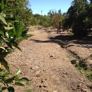GEORGE KEY RANCH HISTORIC PARK - 34 Photos - Landmarks & Historical ...