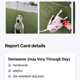Report card Report card