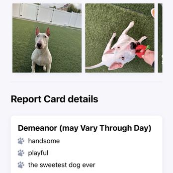 Happy Dog Resort - Report card - Pet Training Near Me - Redlands, California Happy Dog Resort - Report card - Pet Training Near Me - Redlands, California