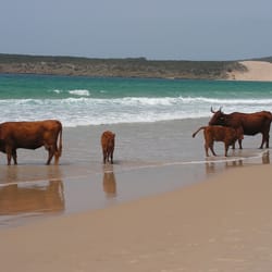 Playa de Bolonia