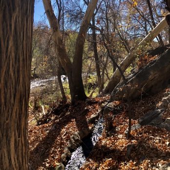 Montezuma Well - Landmarks & Historical Buildings Near Me - Rimrock, Arizona