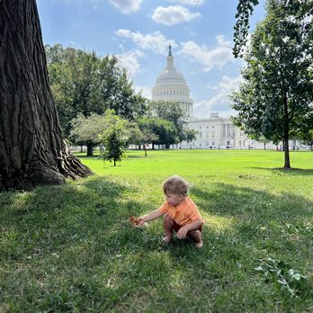 United States Capitol - U.S. Capitol Hill, Washington, D.C. - Landmarks & Historical Buildings Near Me - Washington, DC, District of Columbia