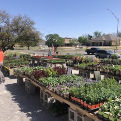 Brick's Garden Exchange - Spring time at Brick's Garden Exchange