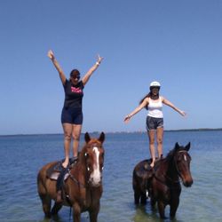 Cypress Breeze Beach Horseback Rides - Yoga