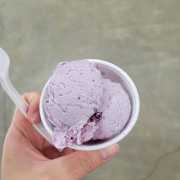 Blueberry ice cream Blueberry ice cream
