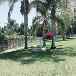 Country Gardens