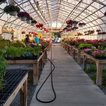 Kate's Country Cousins - The greenhouse. - Farmers Market Near Me - Lancaster, New York