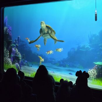 Turtle Talk with Crush - Crush and Squirt - Amusement Parks Near Me - Anaheim, California
