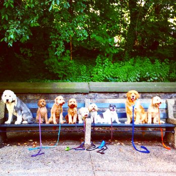 Pawmos Dog Training - Pet Training Near Me Pawmos Dog Training - Pet Training Near Me