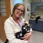 Photo of Four Lakes Veterinary Clinic