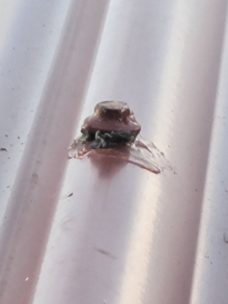 Slide of Region Roofing