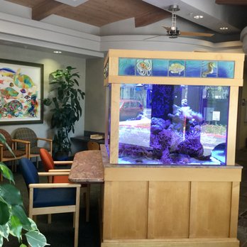 Pacific Pediatric Dentistry - Our dental office includes an aquarium, coloring area and video games to make your visit as comfortable and pleasant as possible. - Pediatric Dentists Near Me - San Luis Obispo, California Pacific Pediatric Dentistry - Our dental office includes an aquarium, coloring area and video games to make your visit as comfortable and pleasant as possible. - Pediatric Dentists Near Me - San Luis Obispo, California