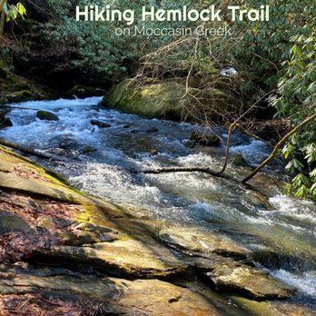 Hemlock Falls Trail - Upstream from the only bridge on the trail - Hiking Near Me - Clarkesville, Georgia