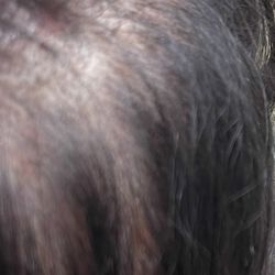 Empire Beauty School - Extremely painful scalp where extensions were ripped out.