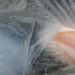 Kings Fish & Seafood Market - Flounder filets