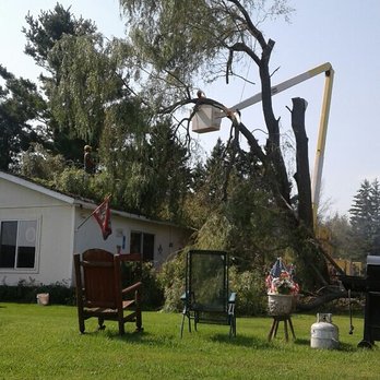 S & D Tree Service - Tree Services Near Me S & D Tree Service - Tree Services Near Me