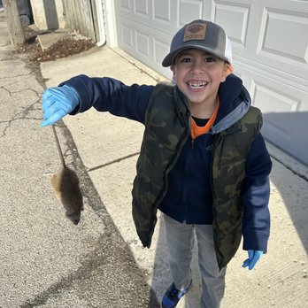 Superior Pest Solutions - The boss baby did great on his first day on the field. - Pest Control Near Me - Chicago, Illinois Superior Pest Solutions - The boss baby did great on his first day on the field. - Pest Control Near Me - Chicago, Illinois