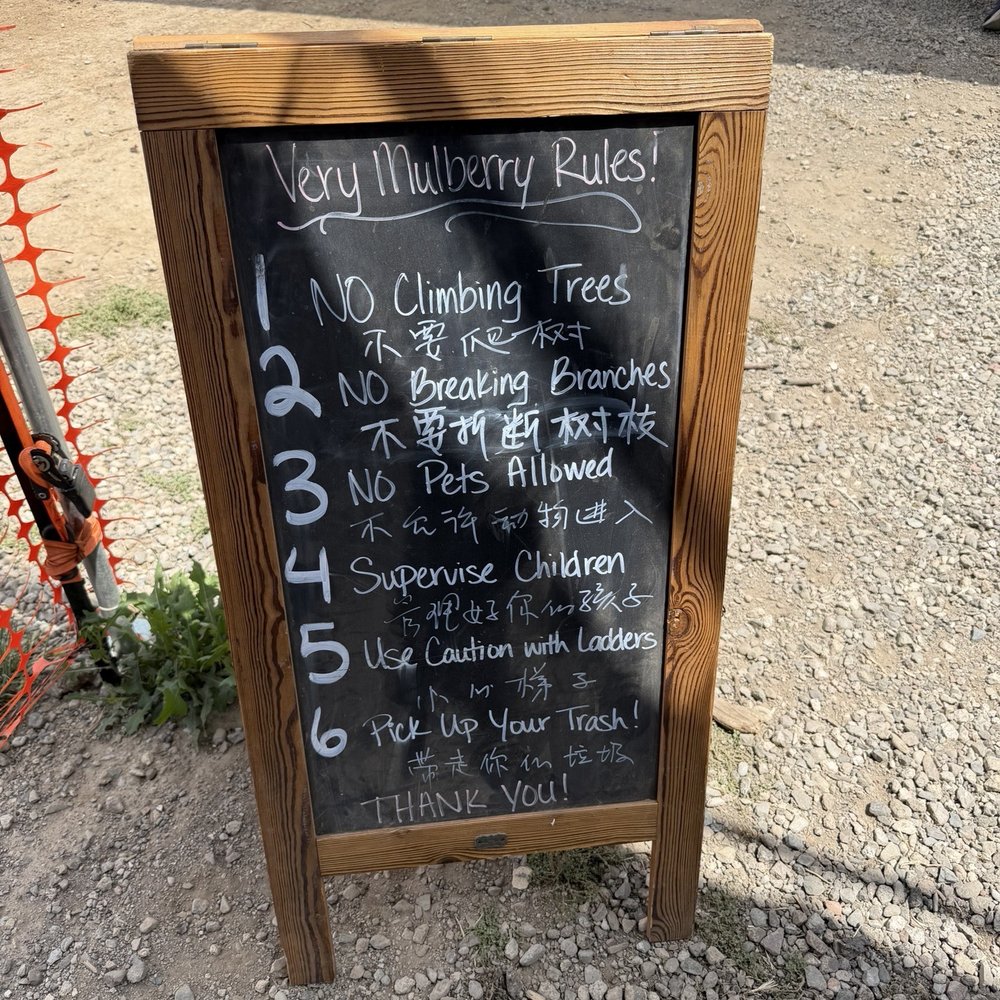The rules The rules