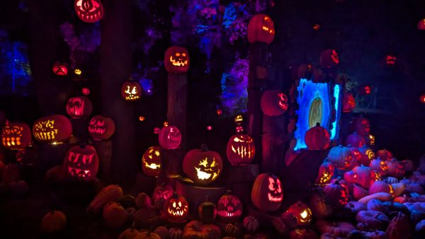 Roger Williams Park Zoo by null