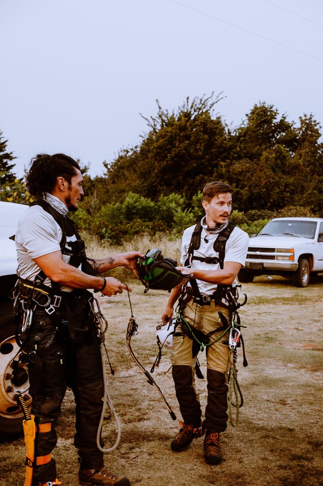 Full Circle Tree Service - tree service in Guthrie, OK