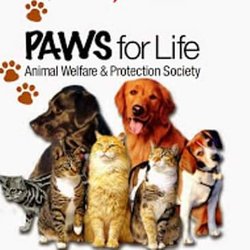 Paws for Life