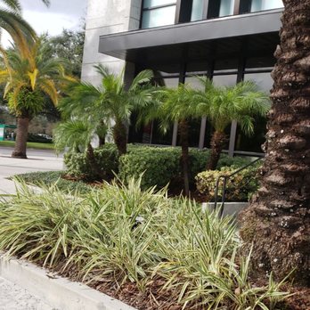 Yard House - New American Near Me - Orlando, Florida