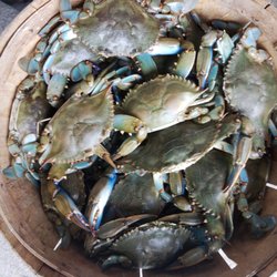 Seafood Shack